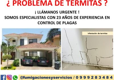 ANUNCIO-02710