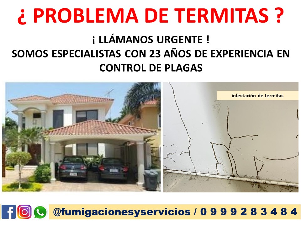 TRATAMIENTO CONTRA TERMITAS