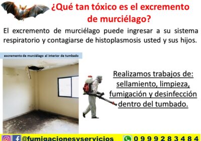 ANUNCIO-0310