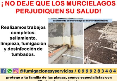 ANUNCIO-0911
