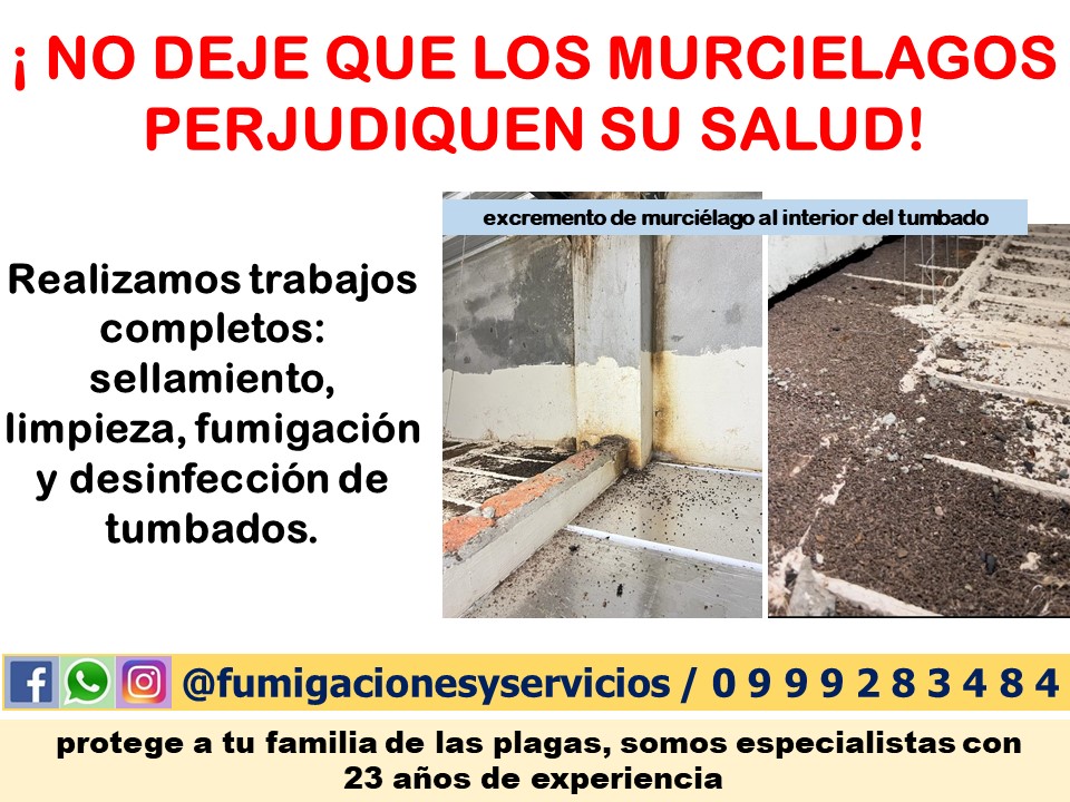 Sellamiento, Limpieza Y Desinfeccion (murcielagos)