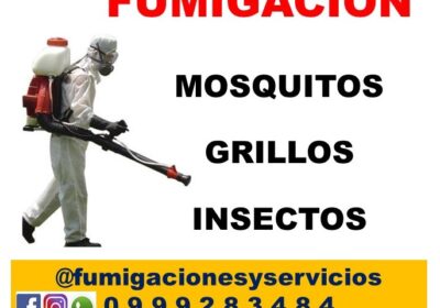 ANUNCIO-1205