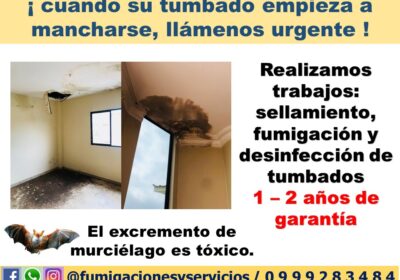 ANUNCIO-1209