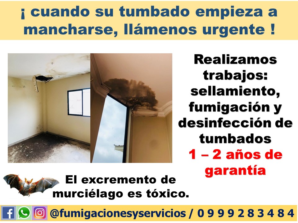 Control De Plagas/ MURCIELAGOS