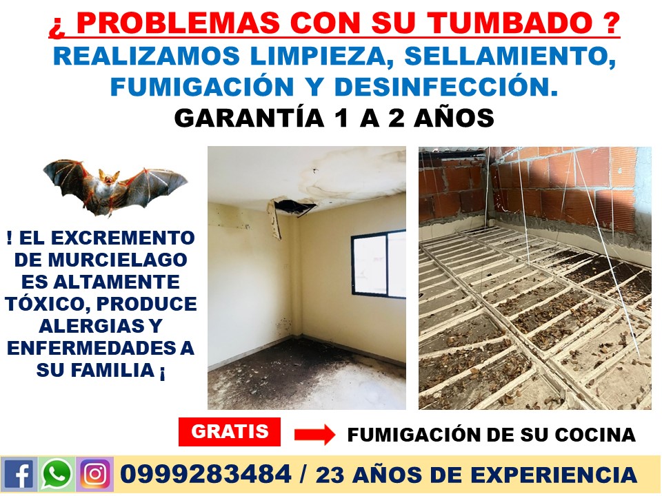 Casa Limpia Libre De Plagas