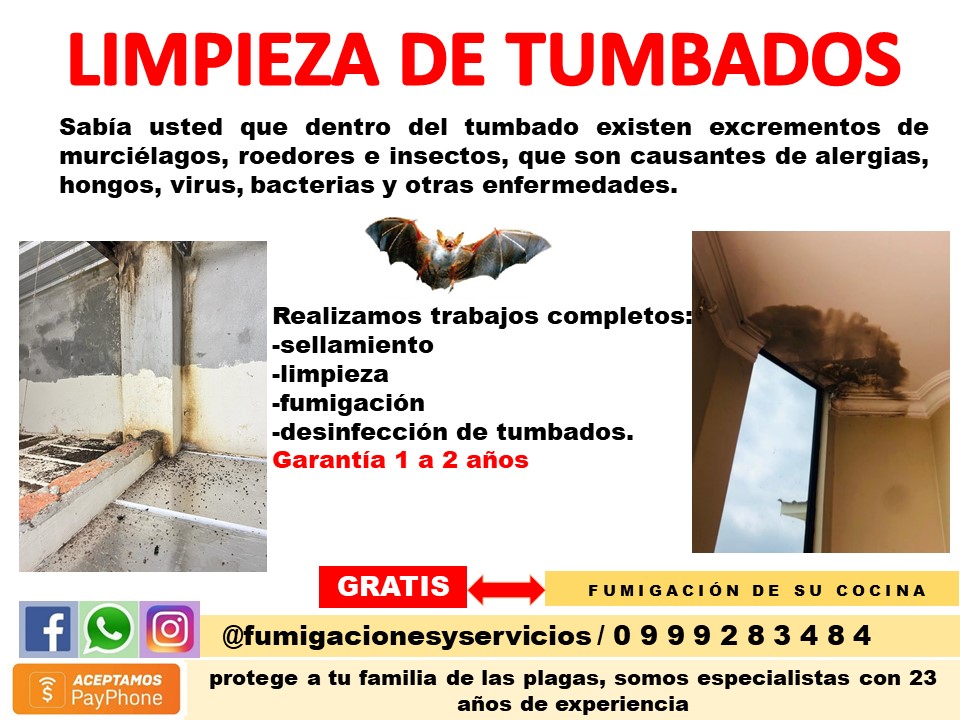 TRATAMIENTO CONTRA DE MURCIELAGOS  (SELLAMIENTO – DESINFECCION)