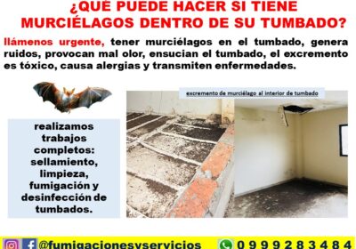 ANUNCIO-3009