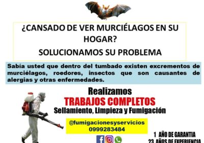 ANUNCIO-MURCIELAGOS-1
