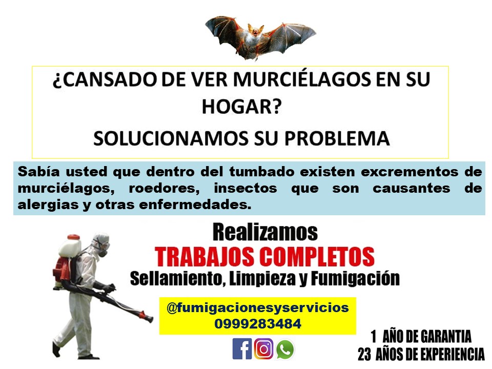 ERRADICACION DE MURCIELAGOS