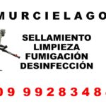 ANUNCIOS-MURCIELAGOS-1