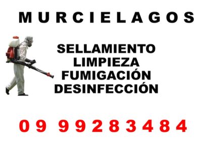 ANUNCIOS-MURCIELAGOS-1