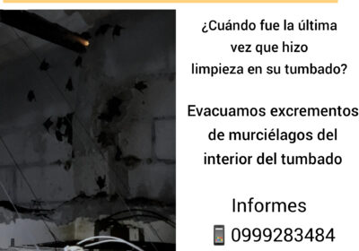 InShot_20220913_152648386