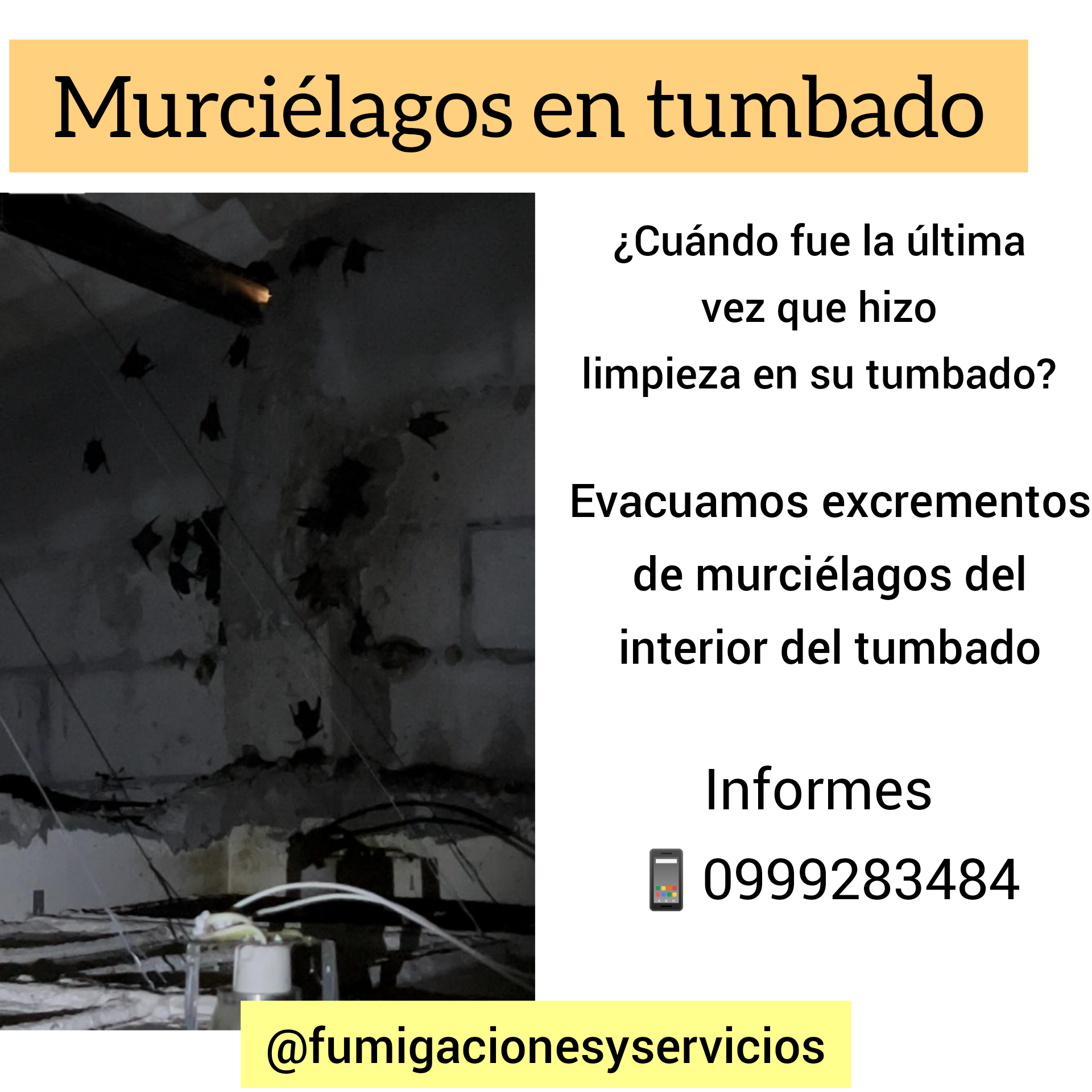TRATAMIENTO CONTRA MURCIELAGOS – GUAYAQUIL