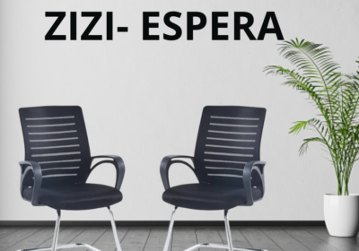 ZIZI-REDES