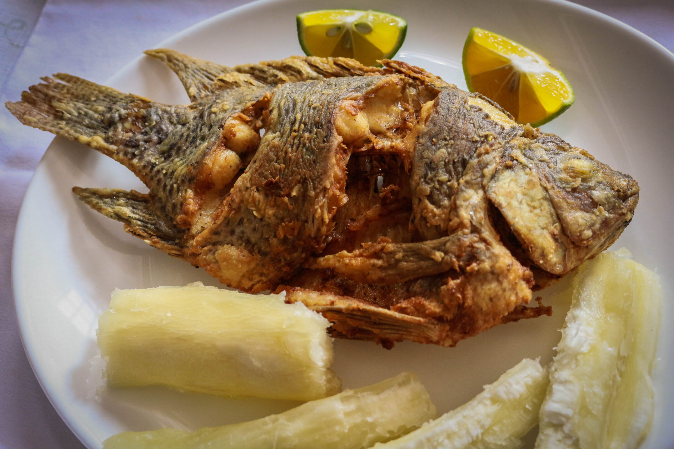 Deliciosos platos típicos de la Amazonía