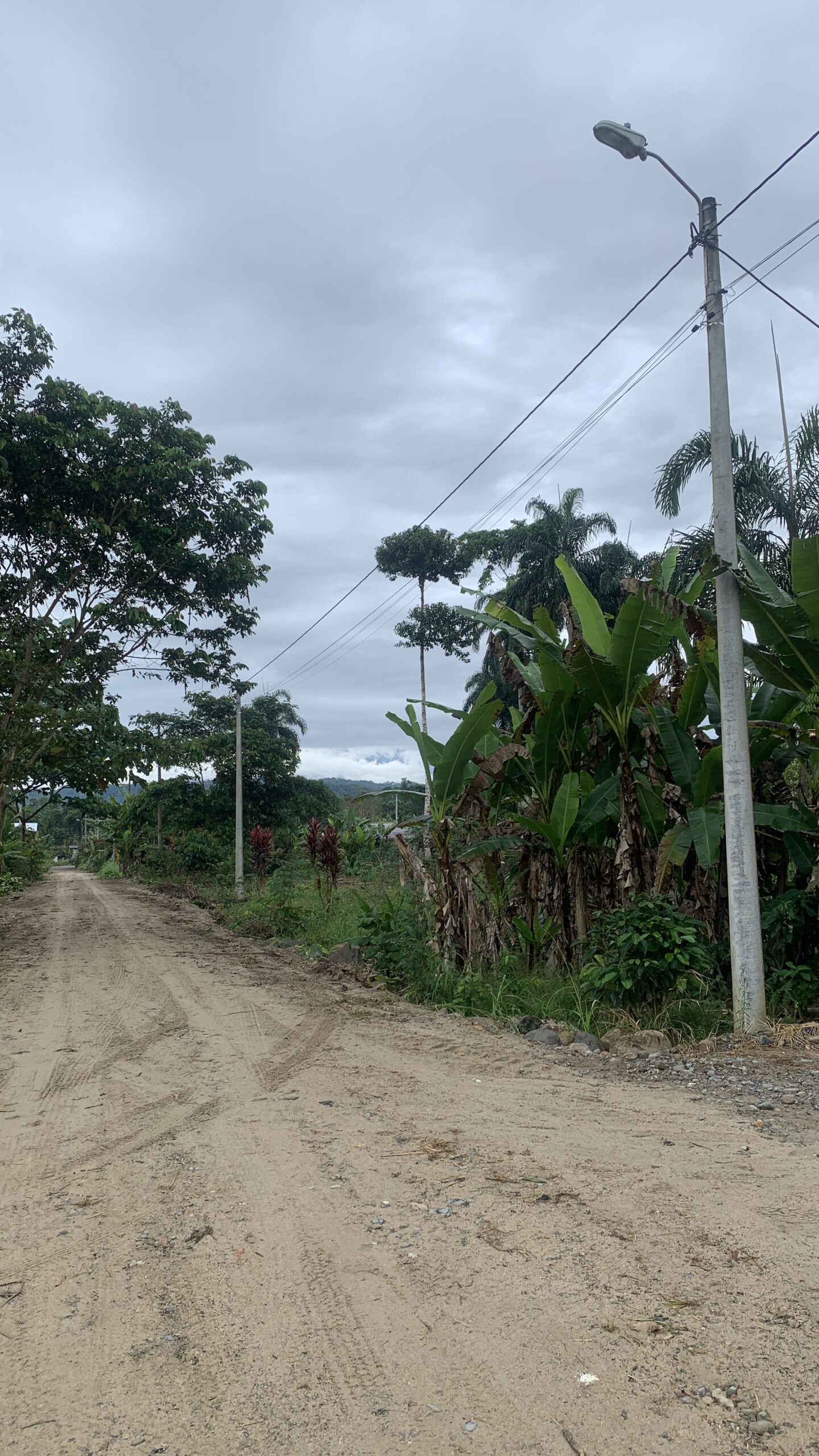 Terreno en Archidona:1ha a solo 4 km del centro
