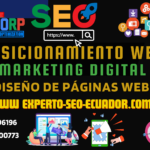 Experto-Seo-Ecuador-2024-Consultor-Posicionamiento-Web-7