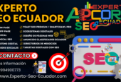 Experto SEO Ecuador Agencia de Posicionamiento Web