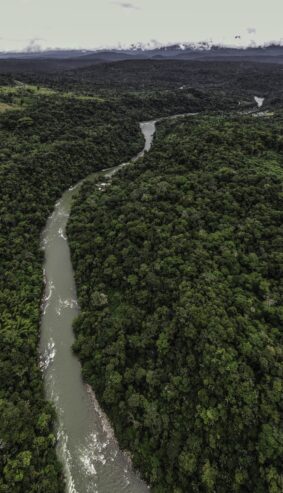 Oportunidad de Inversión en Napo – 22 Hectáreas en la Amazonía: Reserva con Lodge Operativo