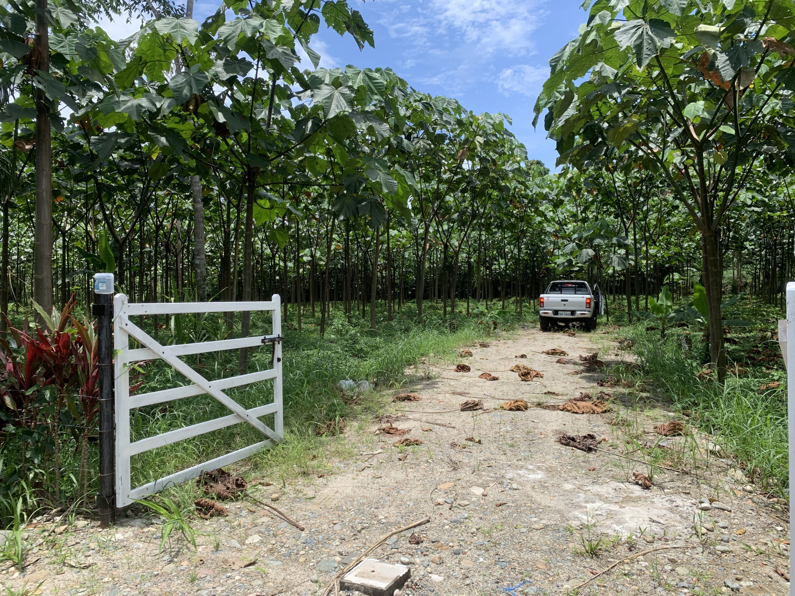 Terreno en Archidona:1ha a solo 4 km del centro