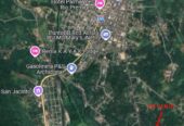 Terreno en Archidona:1ha a solo 4 km del centro