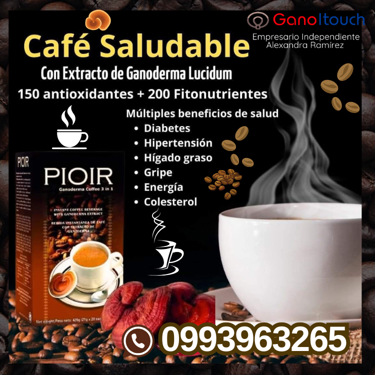 Café Ganoderma Lucidum Ecuador Pioir Santo Domingo Guayaquil