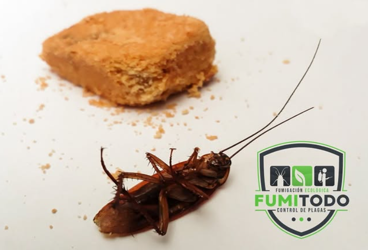 FUMIGACIONES Y CONTROL DE PLAGAS – FUMITODO EC