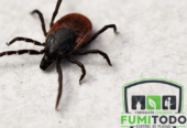 FUMIGACIONES Y CONTROL DE PLAGAS – FUMITODO EC