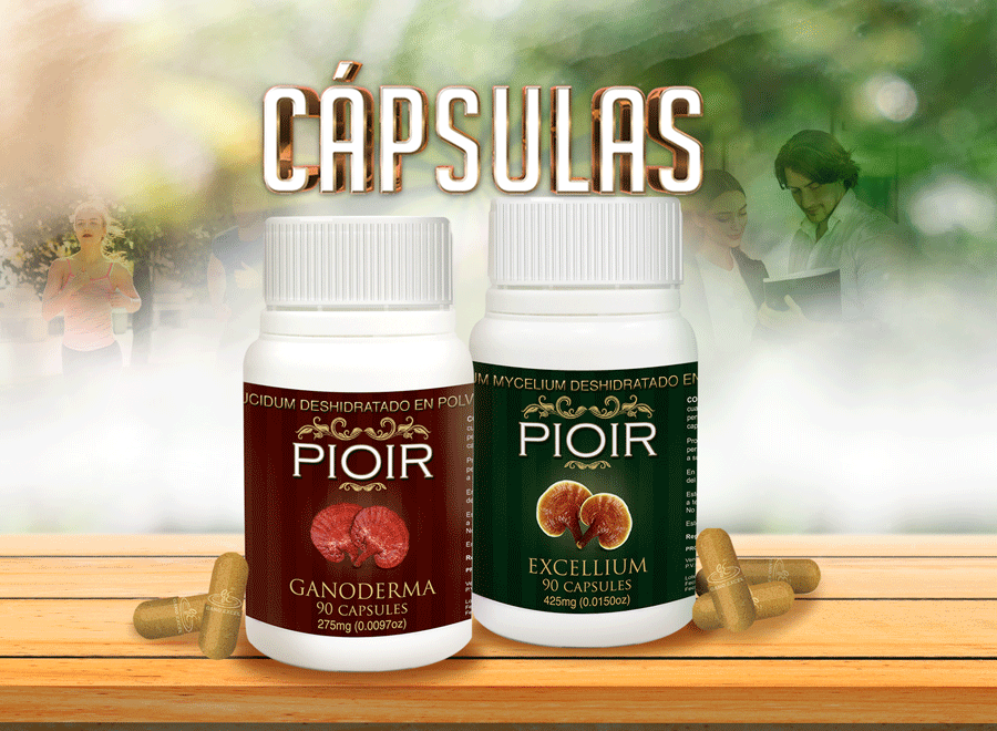 Café Ganoderma Lucidum Ecuador Pioir Santo Domingo Guayaquil