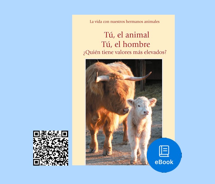 PDF Tú, el animal. Tú, el ser humano ¿Quién tiene valores más elevados?