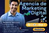 Experto SEO Ecuador Posicionamiento Web