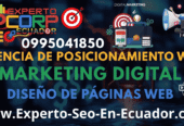 Experto SEO Ecuador Posicionamiento Web