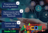 Experto SEO Ecuador Posicionamiento Web